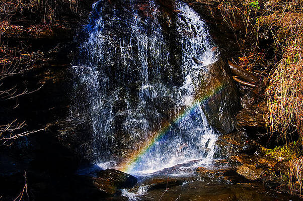 North Carolina Wall Art featuring the photograph Big Bradley Falls 3 by Flees Photos