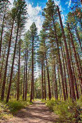 Washington Wall Art featuring the painting Big Valley Views MVSTA Trail by Omaste Witkowski