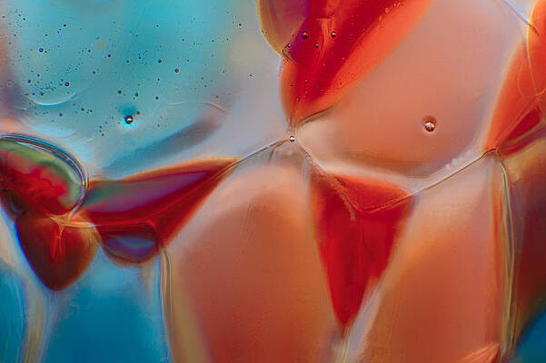 Photograph - Bikini Bottom by Omaste Witkowski