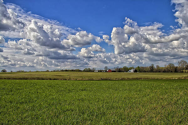 Landscape Wall Art featuring the photograph Billow Skies On Green by Bill and Linda Tiepelman