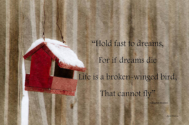 Wall Art featuring the photograph Bird House by Crystal Wightman