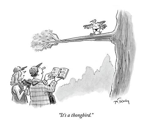 Comic Birdwatching Scene Drawing