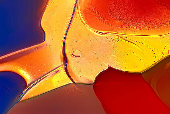 Wall Art featuring the photograph Birds Of A Color by Omaste Witkowski