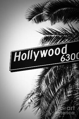 California Wall Art featuring the photograph Black And White Hollywood Street Sign by Paul Velgos