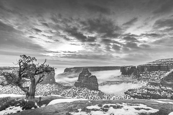 Nature Photograph - Black And White Sunrise by Jeff Stoddart