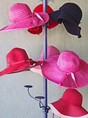 Wall Art featuring the photograph Black Chapeau Of The Family by Rick Locke - Out of the Corner of My Eye