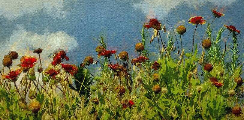 Wall Art featuring the painting Blanketing The Sky by Jeffrey Kolker