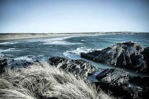 Cork Photograph - Bleached Long Strand by Mark Callanan