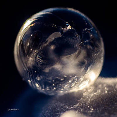 Wall Art featuring the photograph Blown Glass by Crystal Wightman