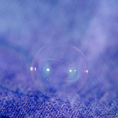 Color Photograph - Purple Bubble by Crystal Wightman