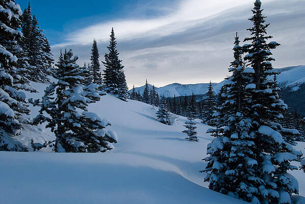 Colorado Photograph - Blue And White Winter by Cascade Colors