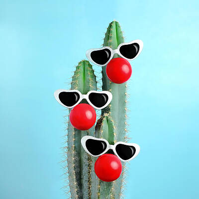Quirky Cactus with Sunglasses Wall Art