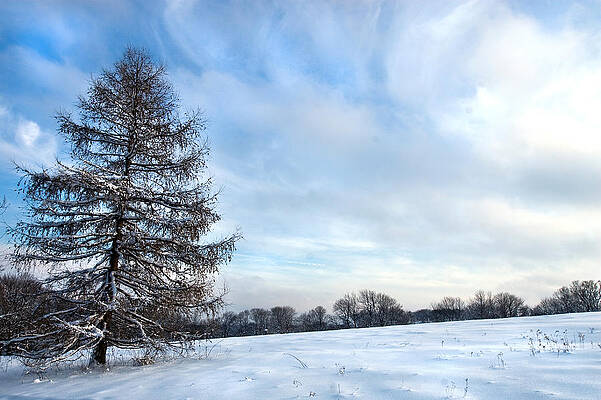 Winter Photograph - Blue by Steven David Roberts
