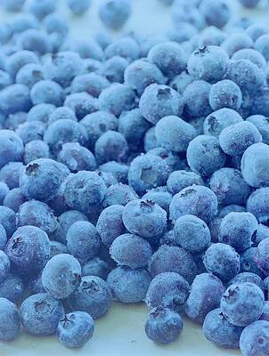Close-up of Frozen Blueberries Photograph
