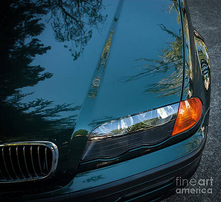 Wall Art featuring the photograph BMW Fender by Blake Webster