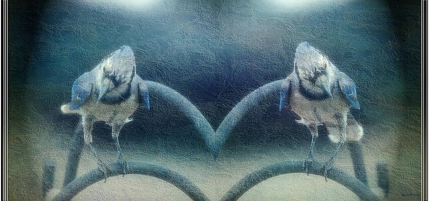 Wall Art featuring the photograph Book Of Blue Jays by Crystal Wightman