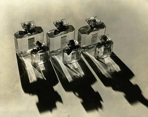 Elegant Perfume Bottles with Shadows Photograph
