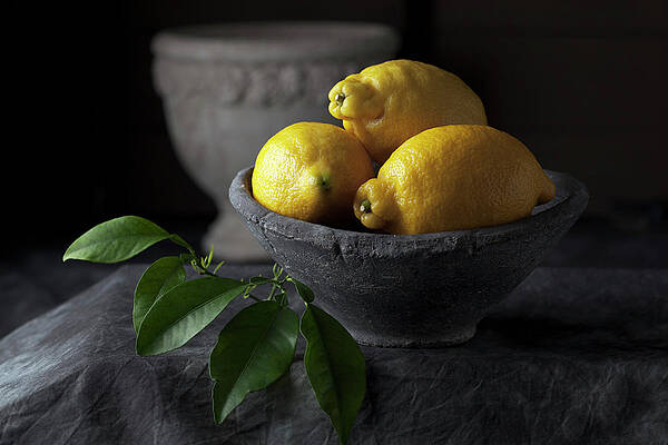 Lemons in a Stone Bowl Wall Art