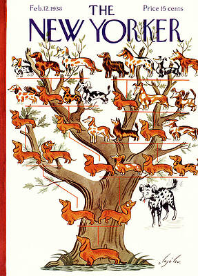 Dog Ancestry Tree Wall Art