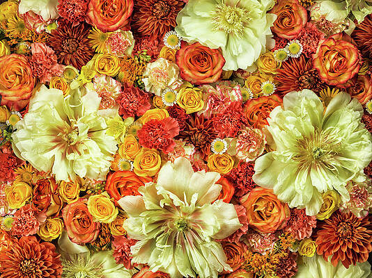 Vibrant Floral Arrangement Wall Art