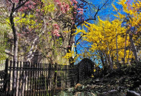 Wall Art featuring the photograph Brilliant Day by Carol Whaley Addassi