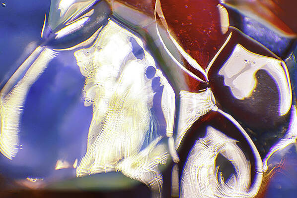 Photograph - Brush Strokes by Omaste Witkowski