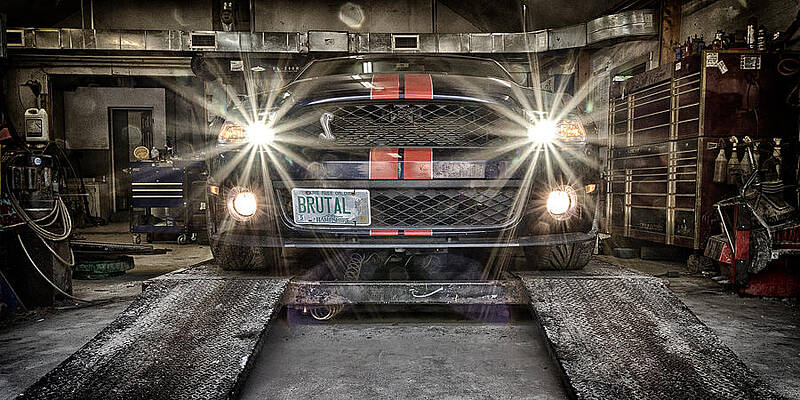 Wall Art featuring the photograph Brutal by Jeff Sinon
