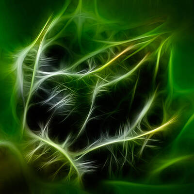 Spring Painting - Budding Beauty by Omaste Witkowski