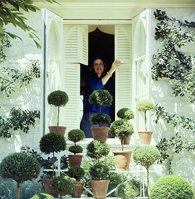 Happy Photograph - Bunny Mellon By Her Potted Trees by Horst P. Horst