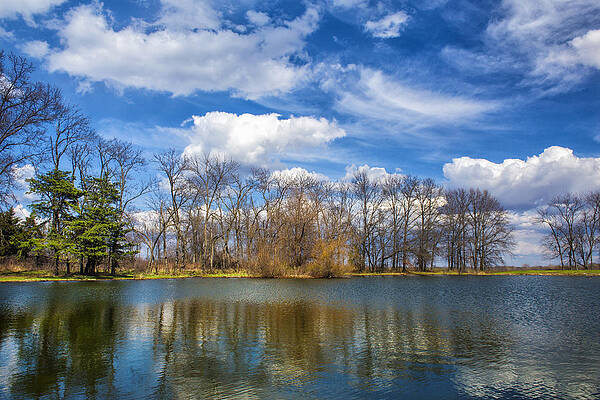 Landscape Wall Art featuring the photograph Busch Spring Filling In by Bill and Linda Tiepelman