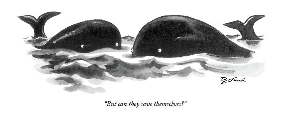 Playful Whales in Conversation Wall Art