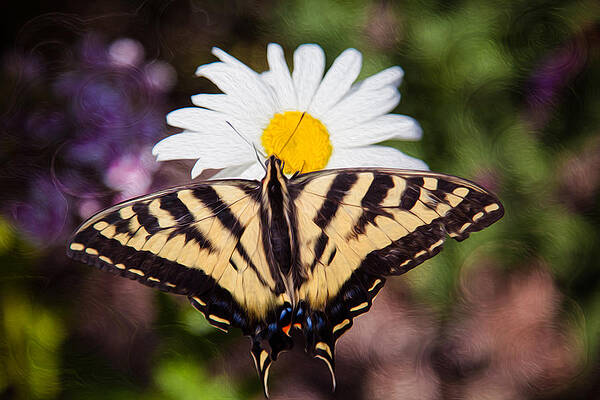 Wall Art featuring the painting Butterfly Kisses by Omaste Witkowski