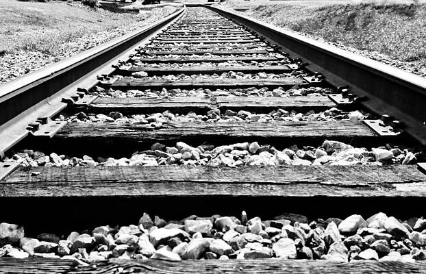 Wall Art featuring the photograph BW Train Tracks by Jonny D