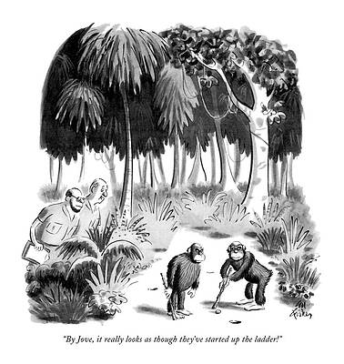 Monkey Drawing - By Jove, It Really Looks As Though They've by Ed Fisher