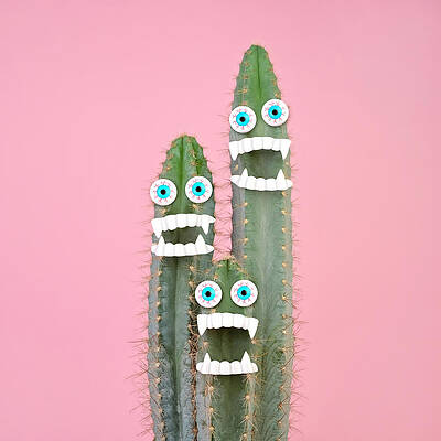 Quirky Cacti with Big Eyes Wall Art