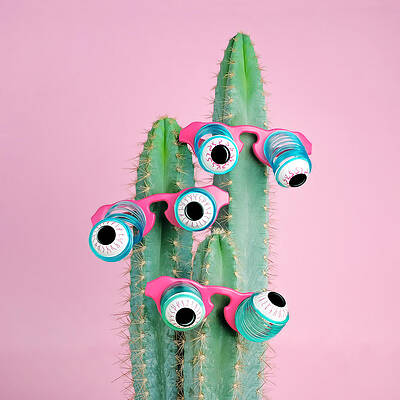 Cactus with Surreal Eyeglasses Wall Art