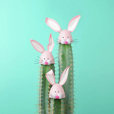 Wall Art featuring the photograph Cactus With Easter Rabbit Decorations by Juj Winn