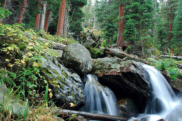Colorado Photograph - Calypso Cascades by Cascade Colors