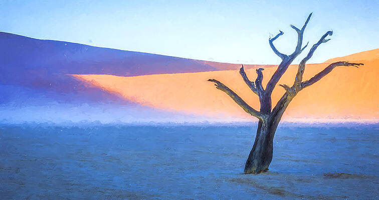 National Wall Art featuring the photograph Camel Thorn Dawn - Dead Vlei Digital Art by Duane Miller