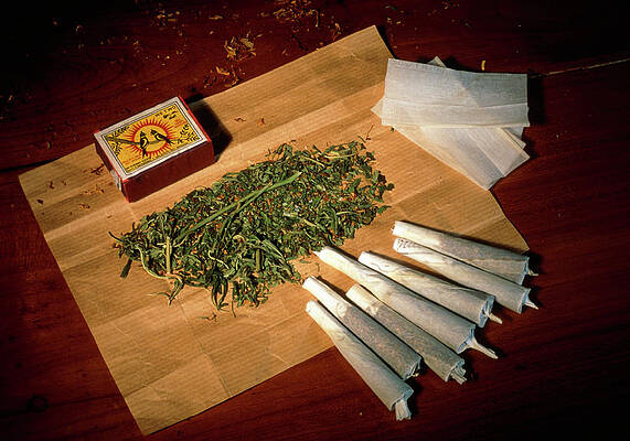 joints with tobacco and pot Marijuana Cigarette Spliff Joint Stock Photo 245111227 Smoking pot vs. tobacco: What