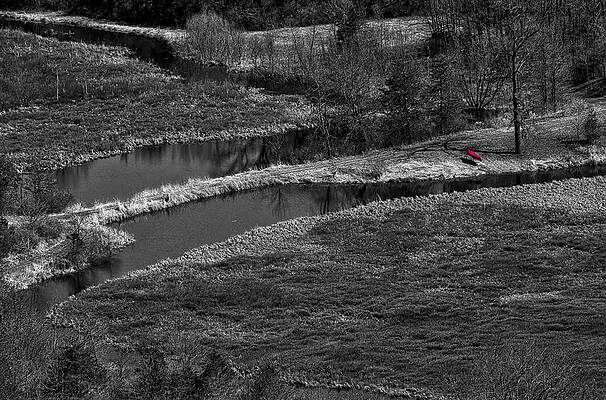 Reflection Photograph - Canoe By Creek II by Steven Ralser
