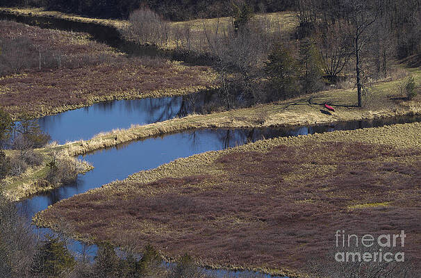 Reflection Photograph - Canoe By Creek by Steven Ralser