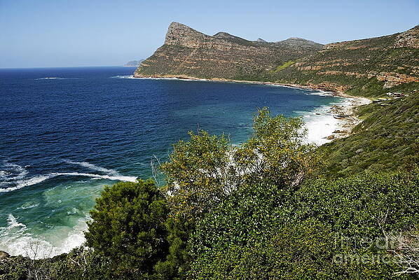 Scenic Coastline View Wall Art