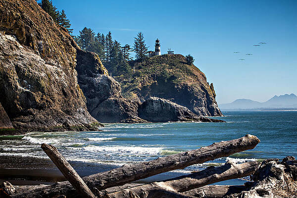 Sky Photograph - Cape Disappointment Pelicans by Mary Jo Allen