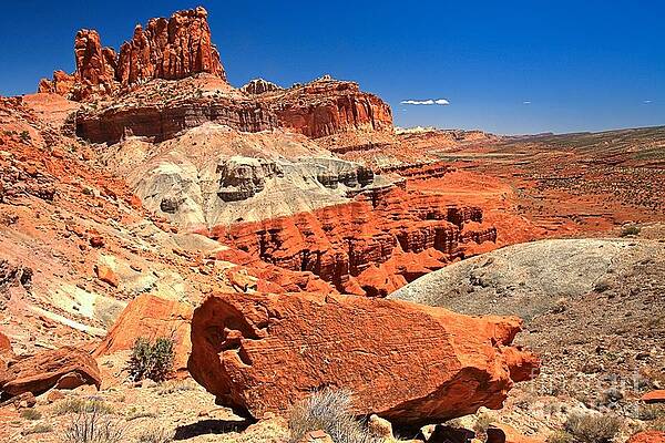 Stunning Red Rock Canyon Photograph
