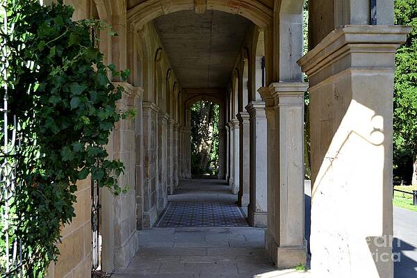 Photograph - Captain Cook Museum Walkway by Scott Lyons