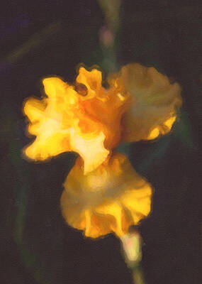 Summer Painting - Capturing Sunshine by Omaste Witkowski