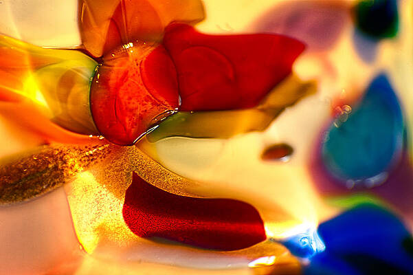 Photograph - Carmen by Omaste Witkowski