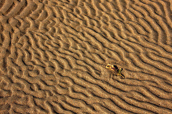 Water Wall Art featuring the photograph Cashen Sand Ripples by Mark Callanan