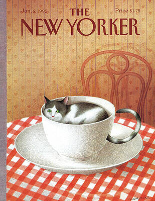 Cat in a Teacup Wall Art